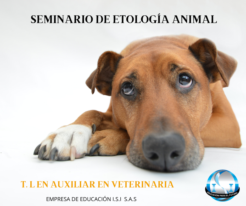 ETOLOGIA ANIMAL